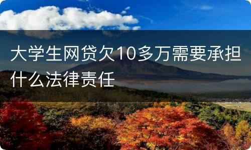 大学生网贷欠10多万需要承担什么法律责任