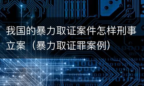 我国的暴力取证案件怎样刑事立案（暴力取证罪案例）