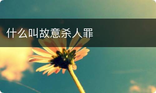 什么叫故意杀人罪