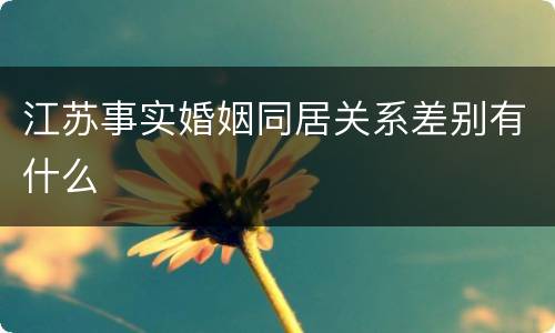 江苏事实婚姻同居关系差别有什么