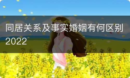 同居关系及事实婚姻有何区别2022