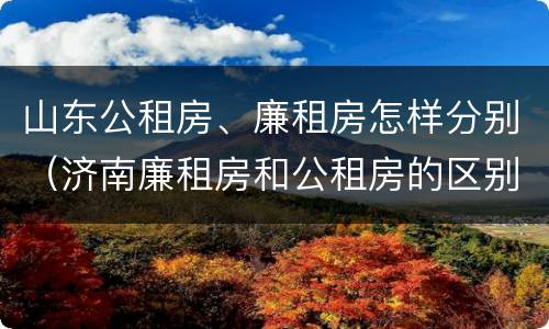 山东公租房、廉租房怎样分别（济南廉租房和公租房的区别）