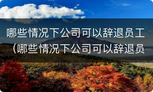 哪些情况下公司可以辞退员工（哪些情况下公司可以辞退员工赔偿）