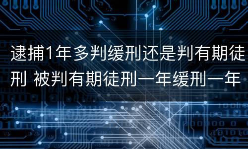 逮捕1年多判缓刑还是判有期徒刑 被判有期徒刑一年缓刑一年