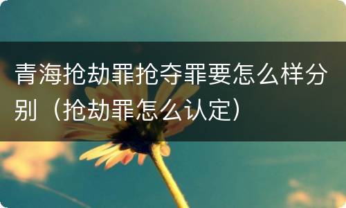 青海抢劫罪抢夺罪要怎么样分别（抢劫罪怎么认定）