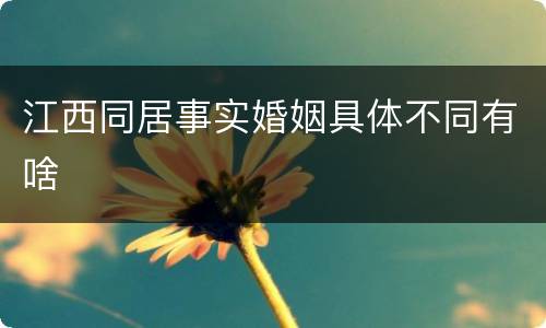 江西同居事实婚姻具体不同有啥