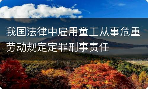 我国法律中雇用童工从事危重劳动规定定罪刑事责任