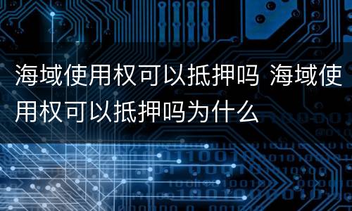 海域使用权可以抵押吗 海域使用权可以抵押吗为什么