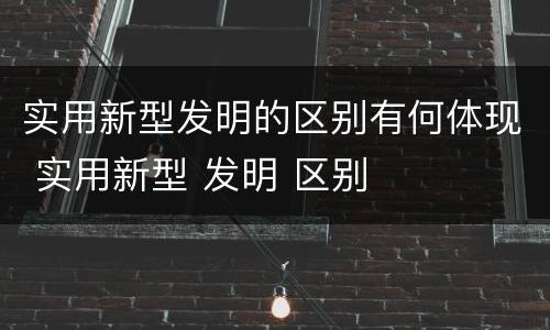 实用新型发明的区别有何体现 实用新型 发明 区别