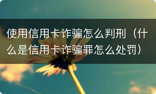 使用信用卡诈骗怎么判刑（什么是信用卡诈骗罪怎么处罚）