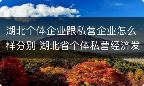 湖北个体企业跟私营企业怎么样分别 湖北省个体私营经济发展中心地址