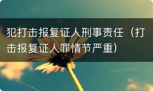 犯打击报复证人刑事责任（打击报复证人罪情节严重）