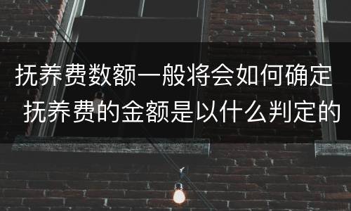 抚养费数额一般将会如何确定 抚养费的金额是以什么判定的