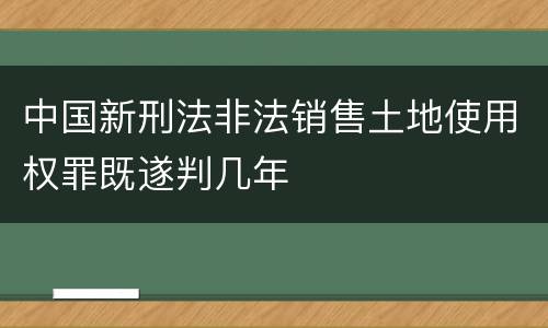 中国新刑法非法销售土地使用权罪既遂判几年