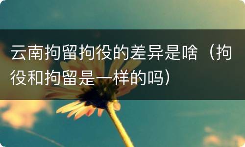 云南拘留拘役的差异是啥（拘役和拘留是一样的吗）