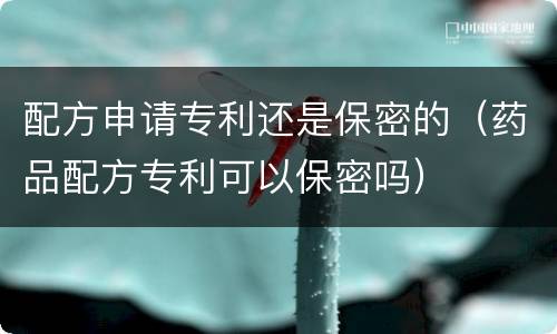 配方申请专利还是保密的（药品配方专利可以保密吗）