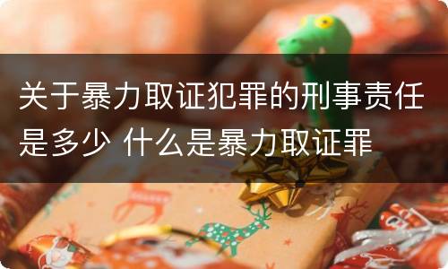 关于暴力取证犯罪的刑事责任是多少 什么是暴力取证罪