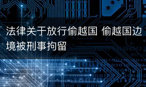法律关于放行偷越国 偷越国边境被刑事拘留