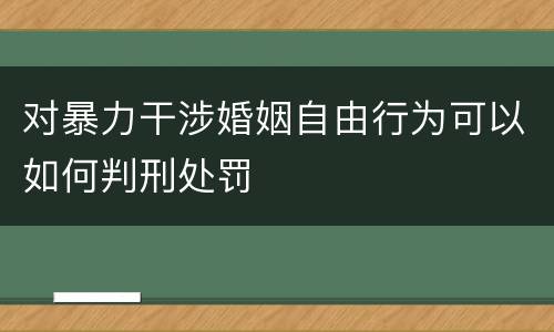 对暴力干涉婚姻自由行为可以如何判刑处罚