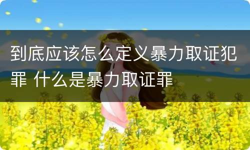 到底应该怎么定义暴力取证犯罪 什么是暴力取证罪