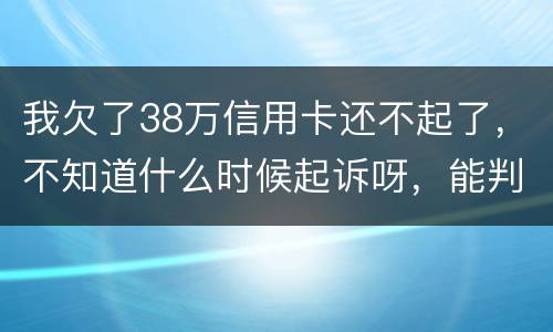 我欠了38万信用卡还不起了，不知道什么时候起诉呀，能判刑几年