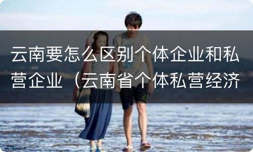 云南要怎么区别个体企业和私营企业（云南省个体私营经济协会）
