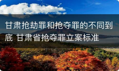 甘肃抢劫罪和抢夺罪的不同到底 甘肃省抢夺罪立案标准