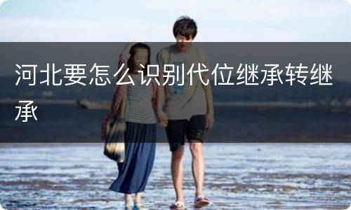 河北要怎么识别代位继承转继承