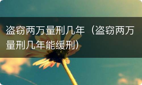 盗窃两万量刑几年（盗窃两万量刑几年能缓刑）