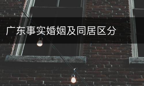 广东事实婚姻及同居区分