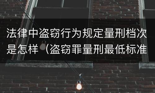 法律中盗窃行为规定量刑档次是怎样（盗窃罪量刑最低标准是）