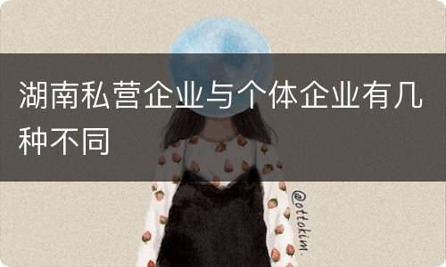 湖南私营企业与个体企业有几种不同