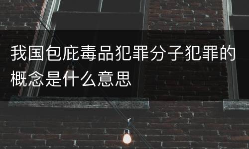 我国包庇毒品犯罪分子犯罪的概念是什么意思