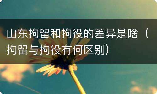 山东拘留和拘役的差异是啥（拘留与拘役有何区别）