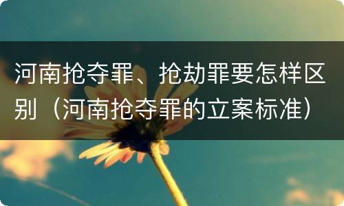 河南抢夺罪、抢劫罪要怎样区别（河南抢夺罪的立案标准）