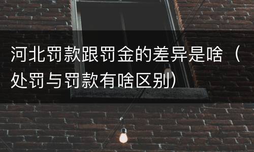 河北罚款跟罚金的差异是啥（处罚与罚款有啥区别）