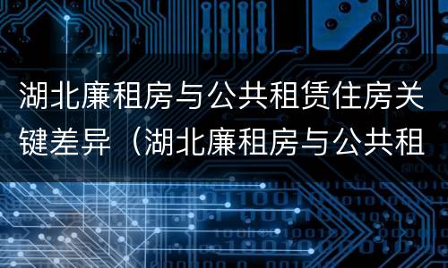 湖北廉租房与公共租赁住房关键差异（湖北廉租房与公共租赁住房关键差异是什么）