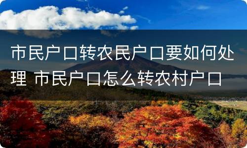 市民户口转农民户口要如何处理 市民户口怎么转农村户口