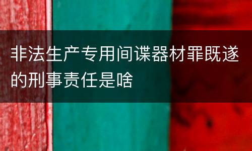 非法生产专用间谍器材罪既遂的刑事责任是啥