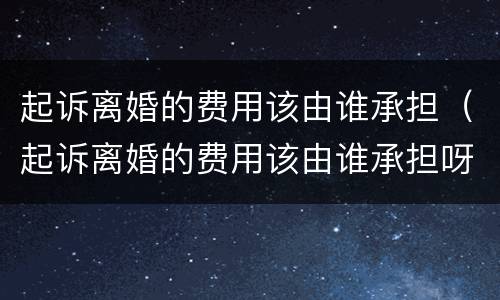 起诉离婚的费用该由谁承担（起诉离婚的费用该由谁承担呀）