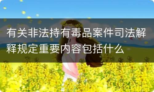 有关非法持有毒品案件司法解释规定重要内容包括什么