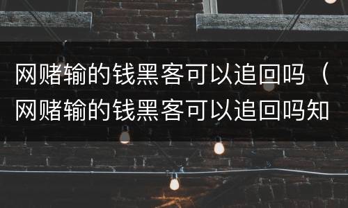网赌输的钱黑客可以追回吗（网赌输的钱黑客可以追回吗知乎）