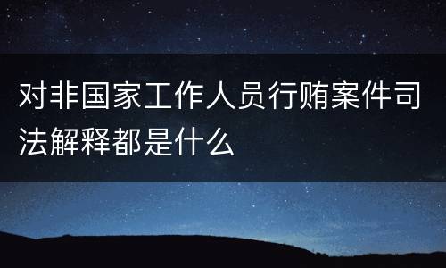 对非国家工作人员行贿案件司法解释都是什么