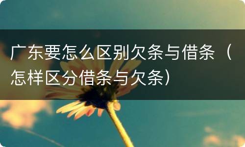 广东要怎么区别欠条与借条（怎样区分借条与欠条）