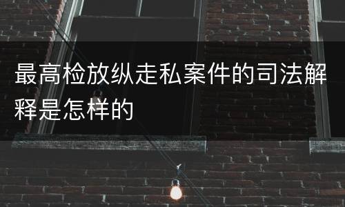 最高检放纵走私案件的司法解释是怎样的
