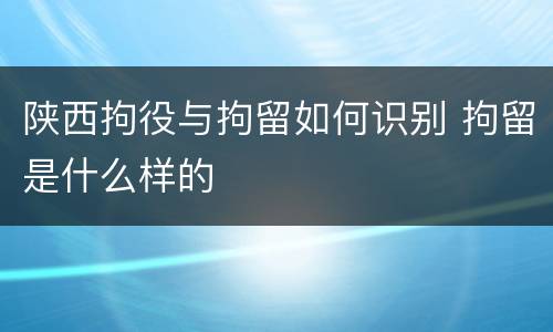 陕西拘役与拘留如何识别 拘留是什么样的