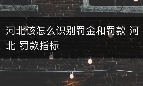 河北该怎么识别罚金和罚款 河北 罚款指标