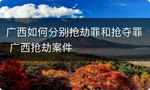 广西如何分别抢劫罪和抢夺罪 广西抢劫案件