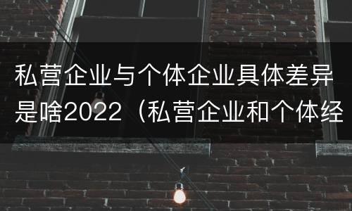 私营企业与个体企业具体差异是啥2022（私营企业和个体经济的区别）