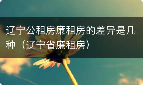辽宁公租房廉租房的差异是几种（辽宁省廉租房）